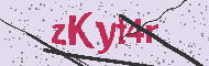 Güvenlik Kodu