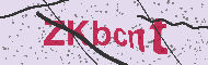 Güvenlik Kodu