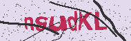 Güvenlik Kodu